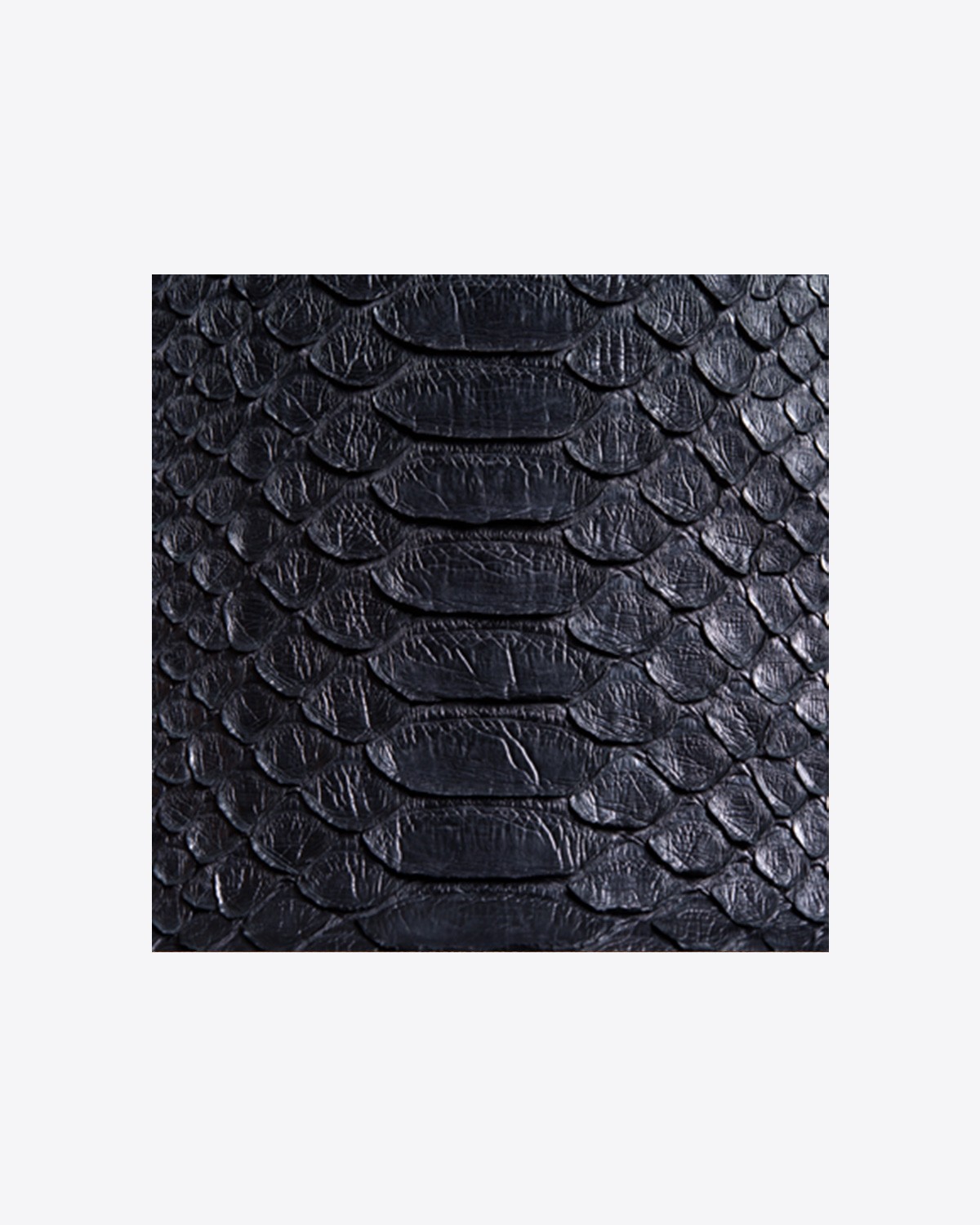 Image du produit Jérôme Dreyfuss Collection Sac Charly M Python Noir   - 5