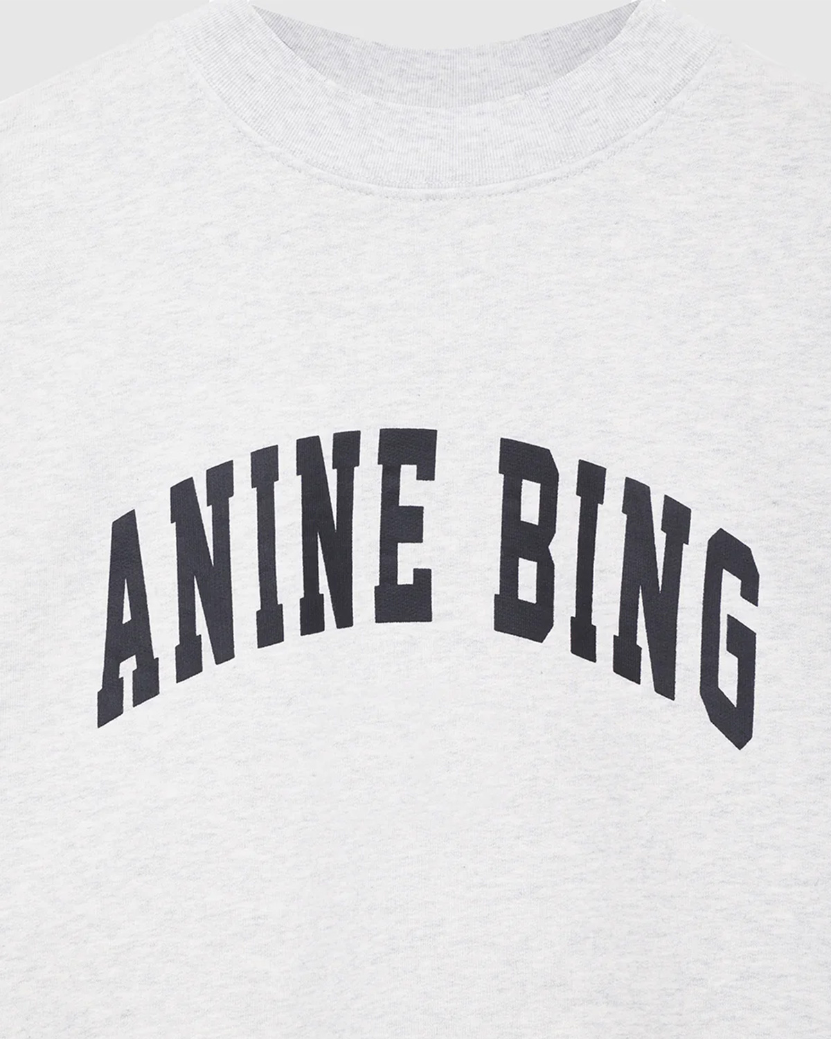  Sweatshirt Tyler  Gris Anine Bing