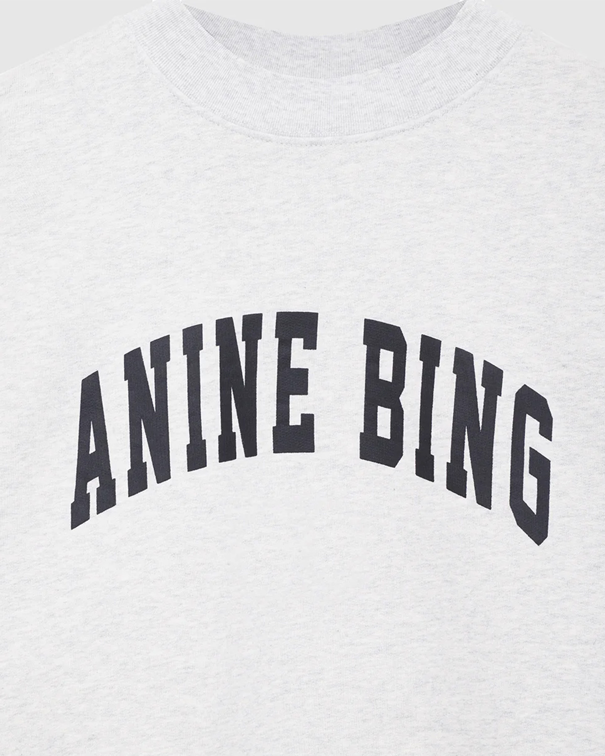  Sweatshirt Tyler  Gris Anine Bing