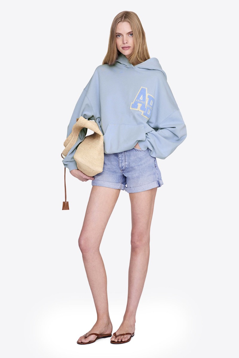 Sweat-shirt à capuche Harvey Letterman Anine Bing en coton bleu clair logo « AB » en chenille ton sur ton porté de face.
