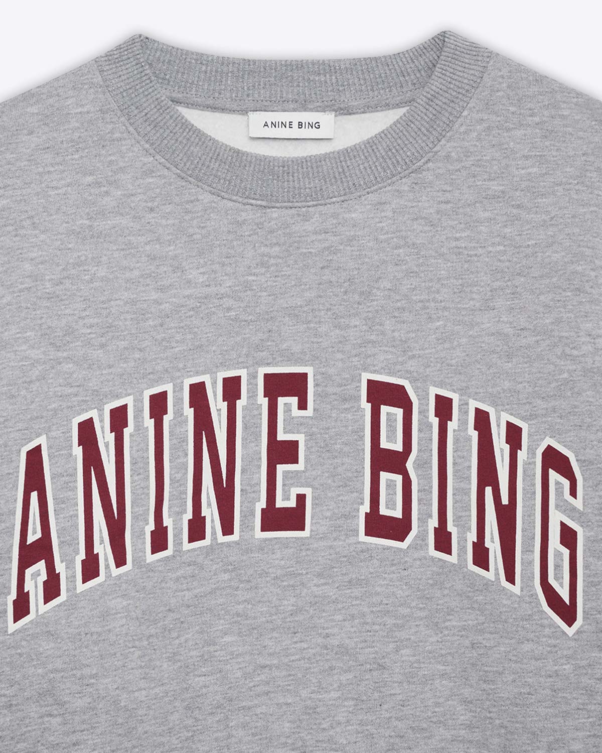Sweatshirt manches longues Spencer Anine Bing en coton gris. Vue face.