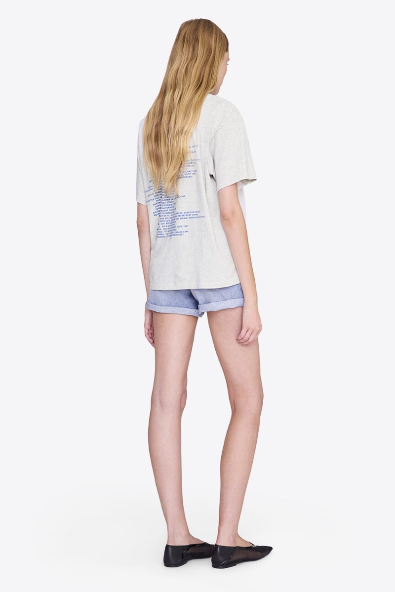 Tee-shirt Cade Wave Anine Bing en jersey gris clair chiné et logo stylisé Anine Bing bleu sur le poitrine et sérigraphie bleu dans le dos porté de profil dos.