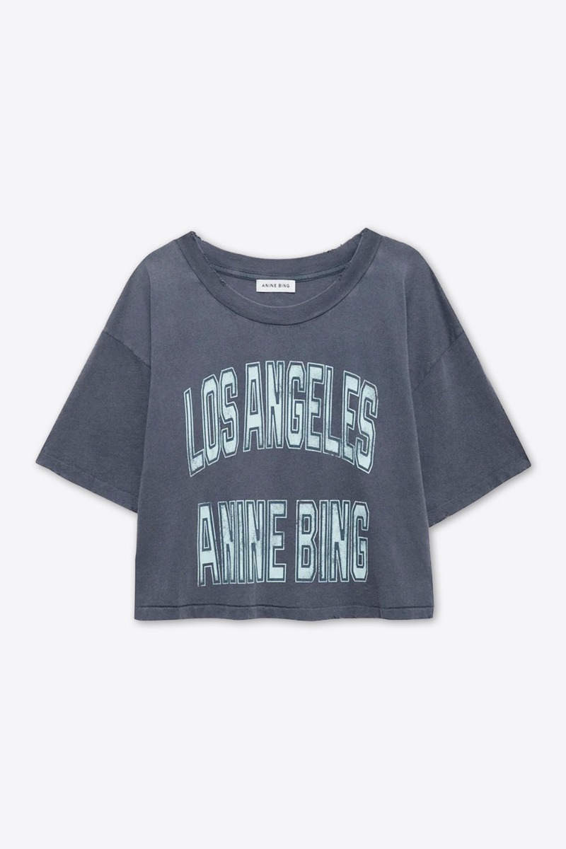 Tee-shirt Johnny Cropped Anine Bing gris d&eacute;lav&eacute;. Vue de face.