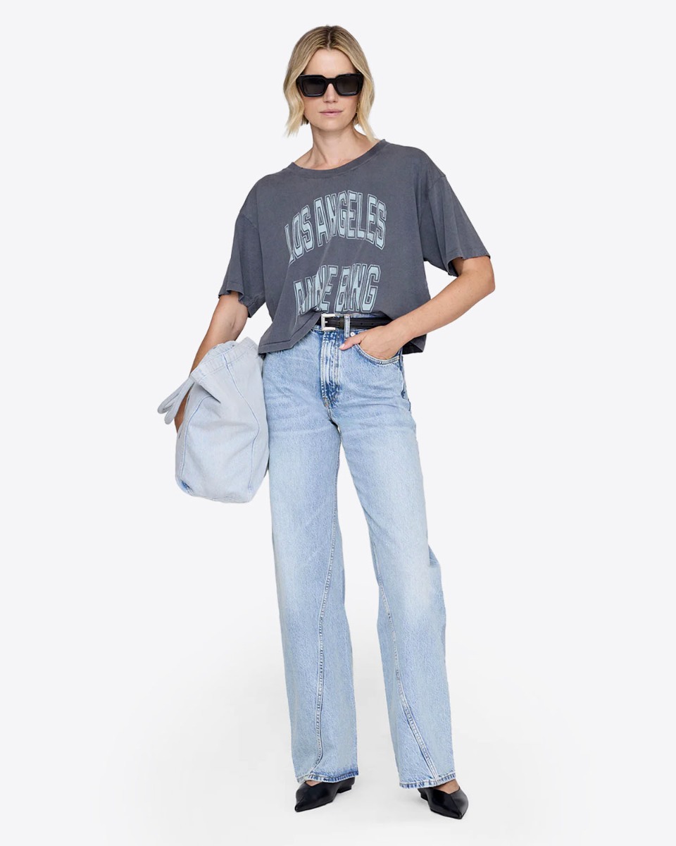 Tee-shirt Johnny Cropped Anine Bing gris d&eacute;lav&eacute;, port&eacute; de face.