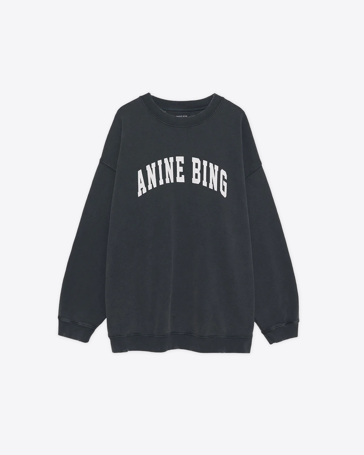 Sweatshirt manches longues Tyler Anine Bing. Vue face. 