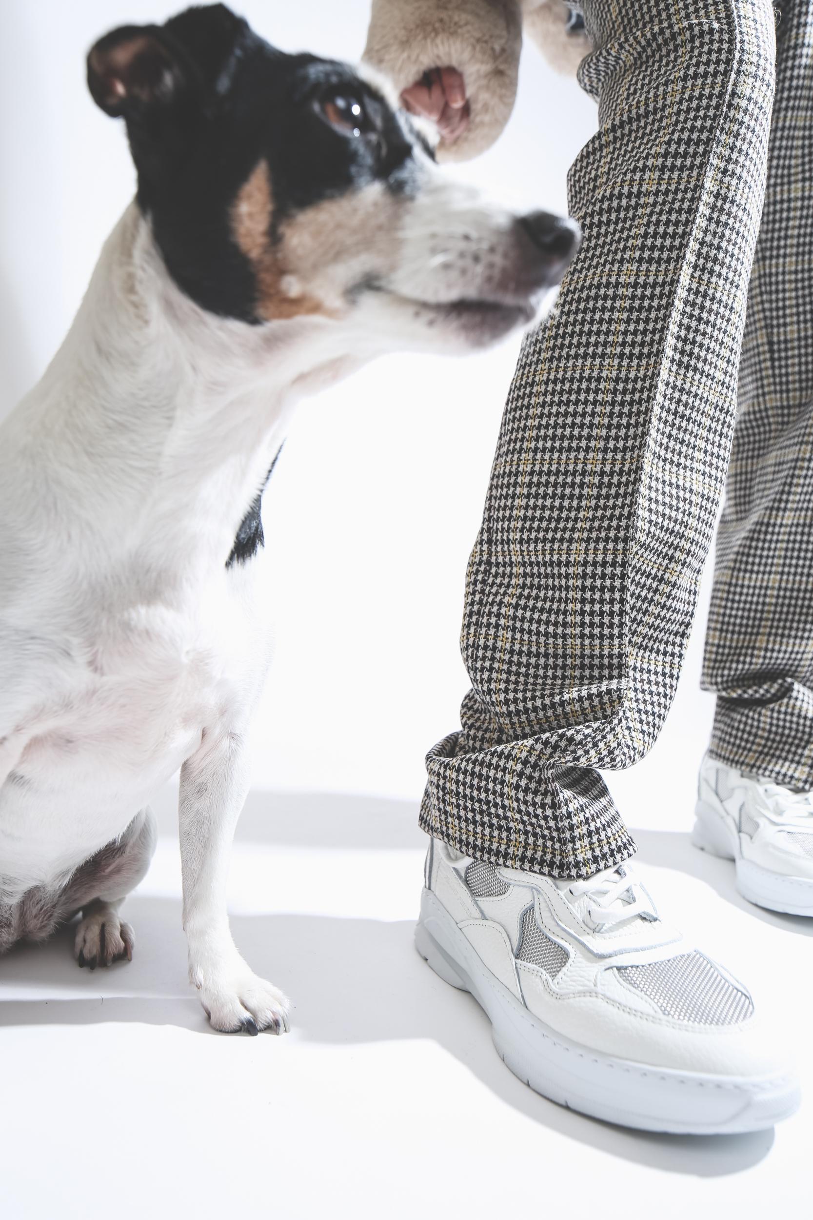 Filling Pieces Sneakers Mix Low Fade Cosmo Mix White   White