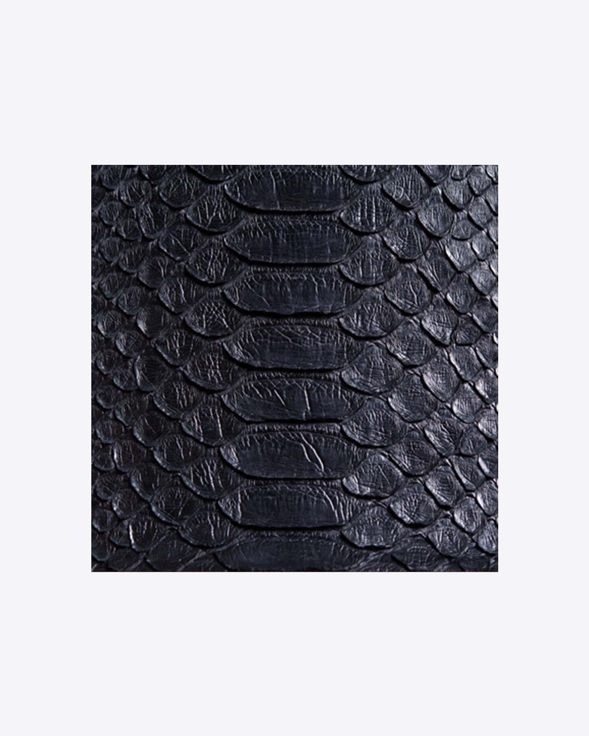 Jérôme Dreyfuss Pré-Collection Sac Georges L - Python Noir