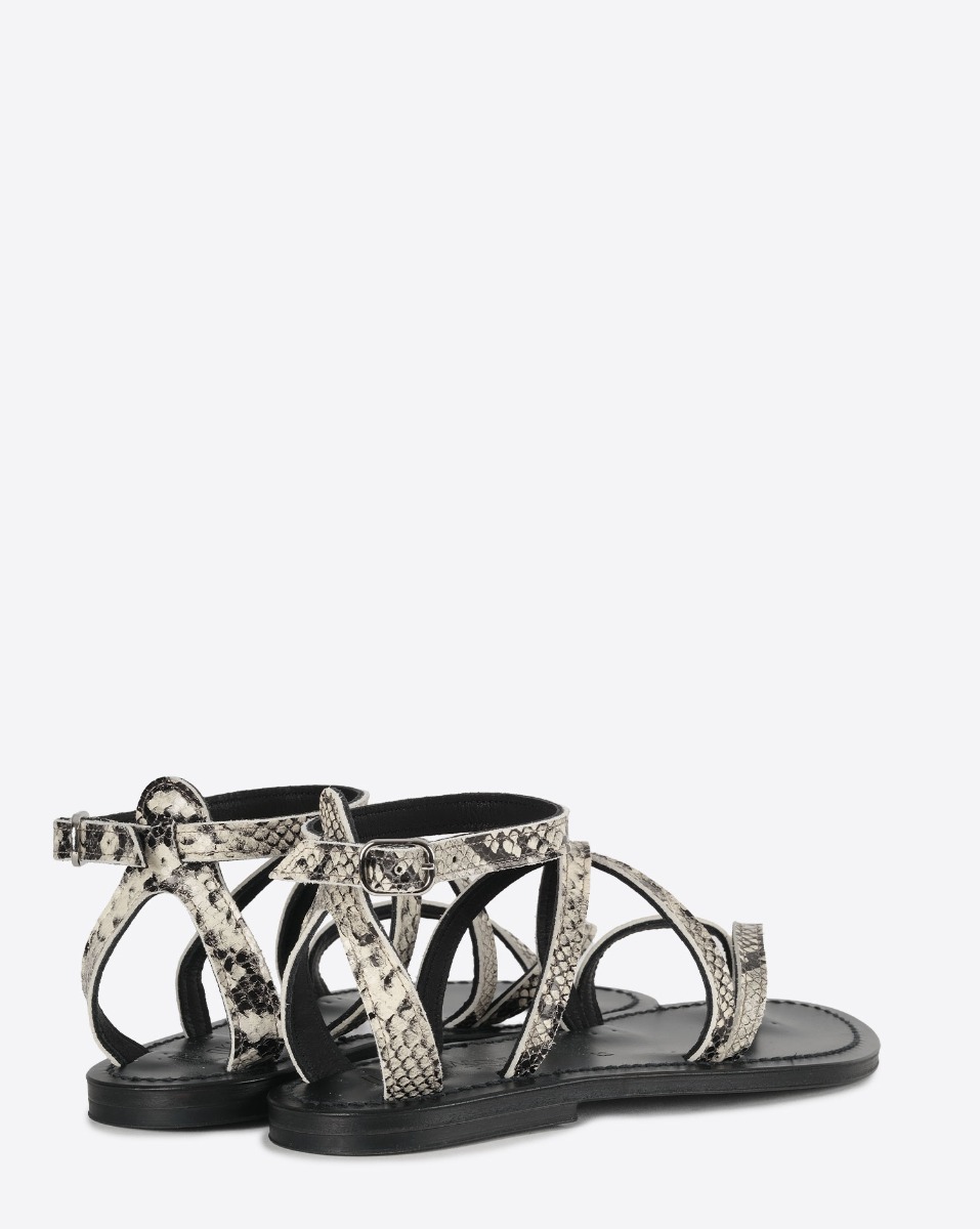 Sandales plates K.Jacques St-Tropez en cuir effet python Kampal Duna. Vue de dos.