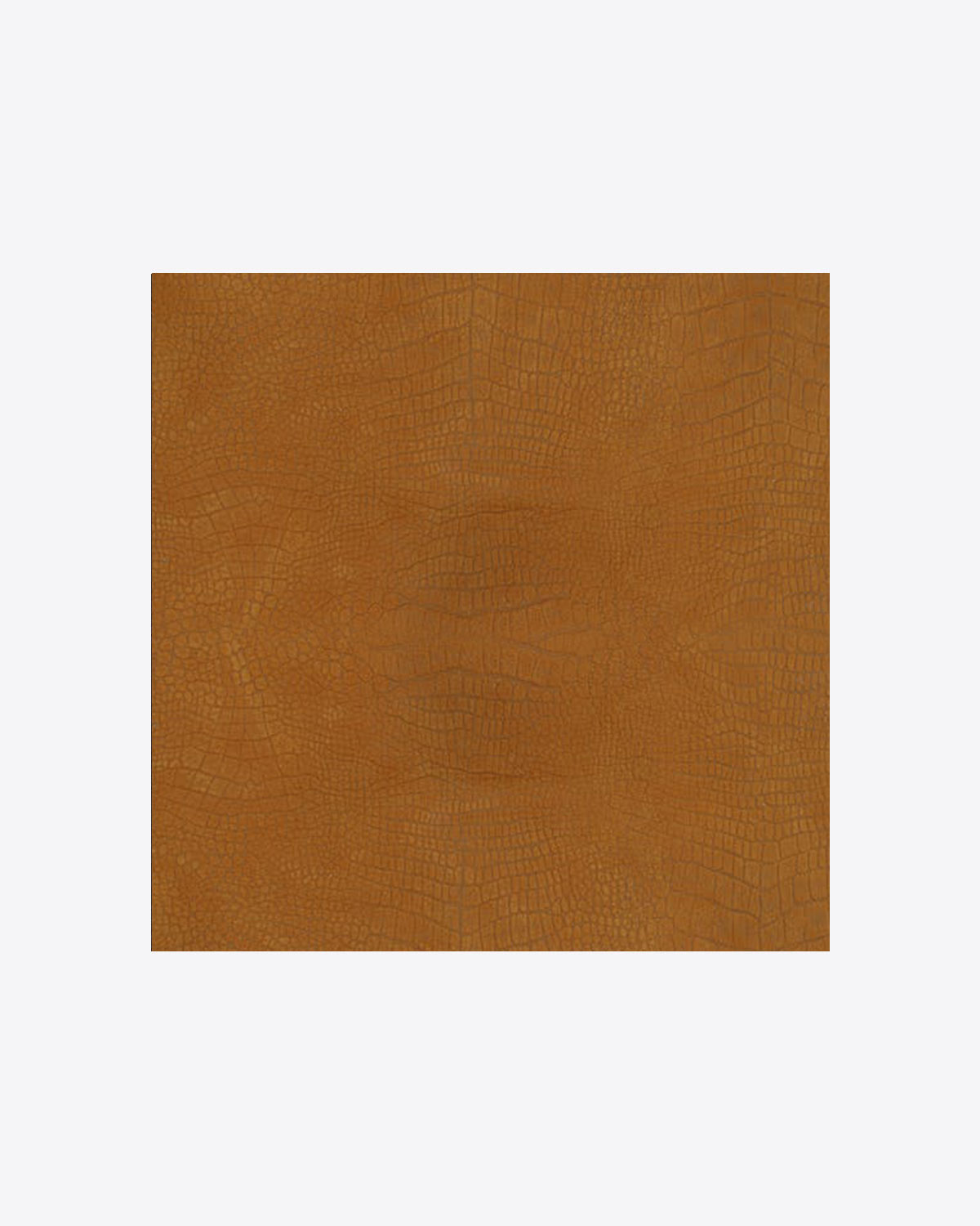 Cuir croco lion J&eacute;r&ocirc;me Dreyfuss.