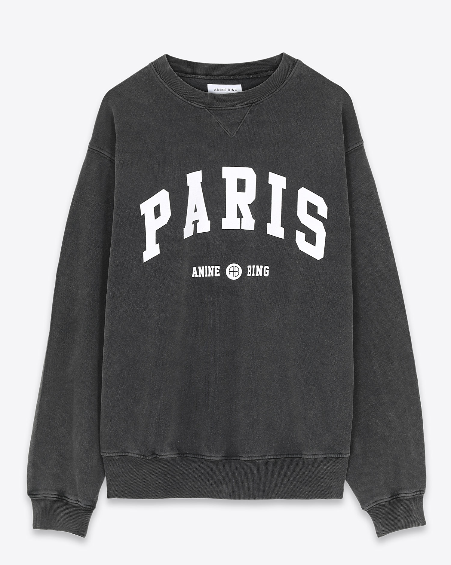 Anine bing university sweatshirt 2025