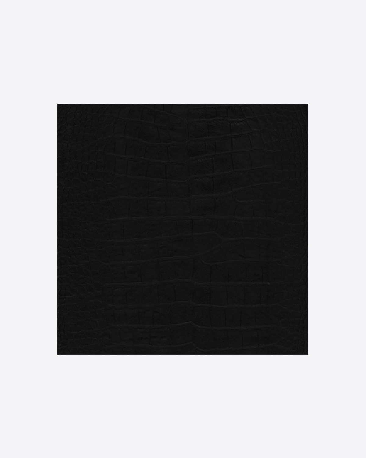 Image du produit Jérôme Dreyfuss Collection Sac Charly M Vachette Croco Noir   - 5